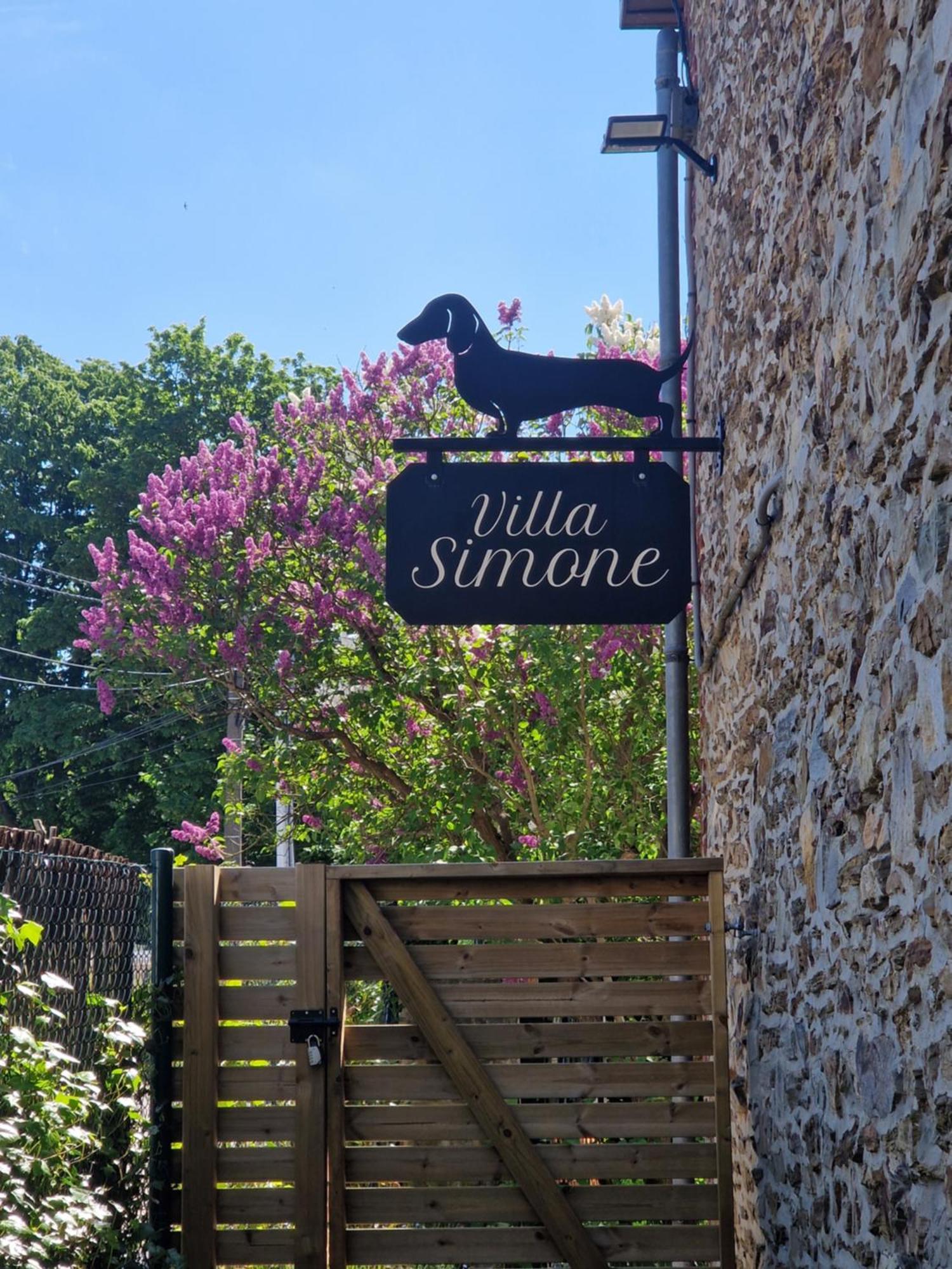 Simone Villa *
